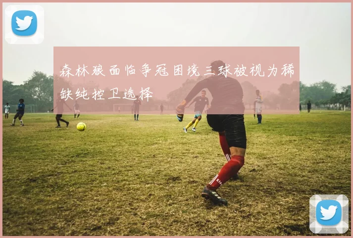 森林狼面临争冠困境三球被视为稀缺纯控卫选择