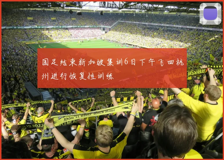 国足结束新加坡集训6日下午飞回杭州进行恢复性训练