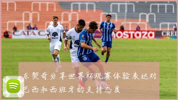 东契奇分享世界杯观赛体验表达对巴西和西班牙的支持态度