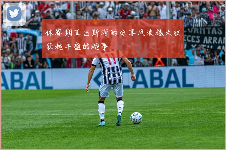 休赛期亚当斯海钓分享风浪越大收获越丰盛的趣事