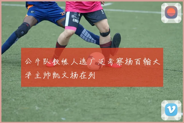 公牛队教练人选广泛考察杨百翰大学主帅凯文杨在列