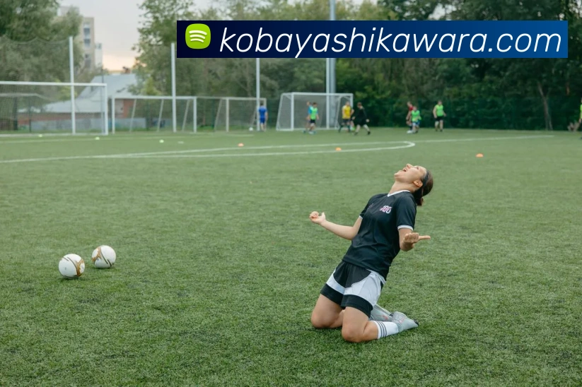 奖项证书